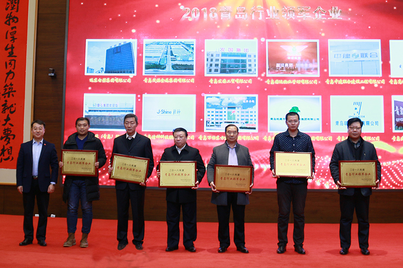 民營企業(yè)高質量發(fā)展，德才集團再獲殊榮領跑民企(圖2)