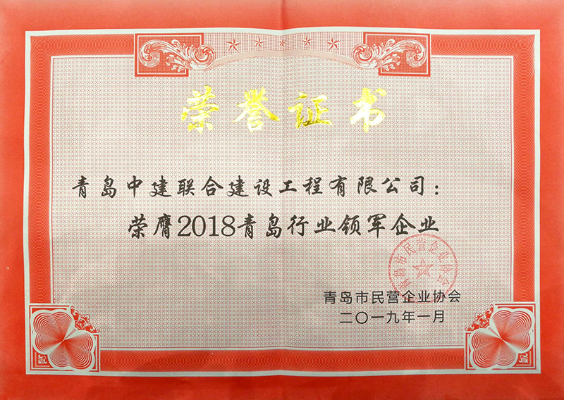 民營企業(yè)高質量發(fā)展，德才集團再獲殊榮領跑民企(圖8)